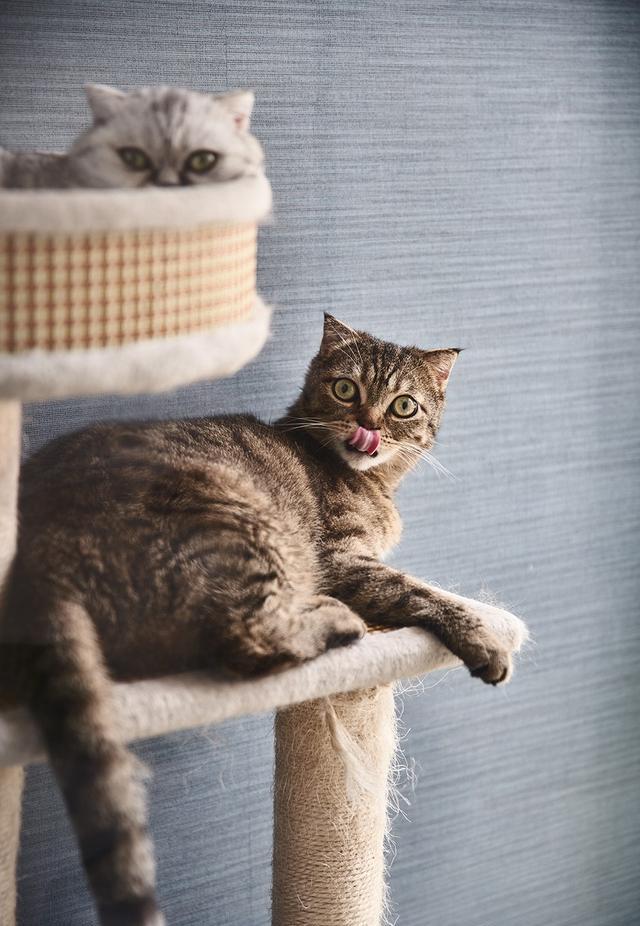 家装水电改造需花费哪些费用?这些皆涵盖在内