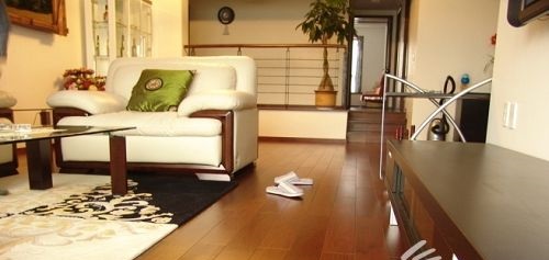 家居日常地板清洁保养有技巧